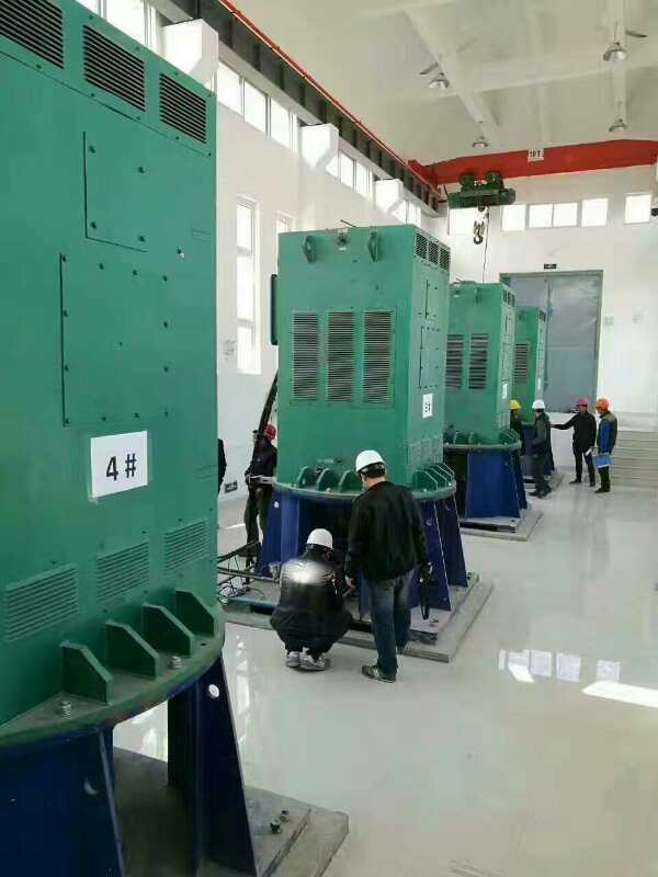 潮南某污水处理厂使用我厂的立式高压电机安装现场
